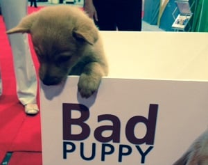 Get off paper schedules and go online